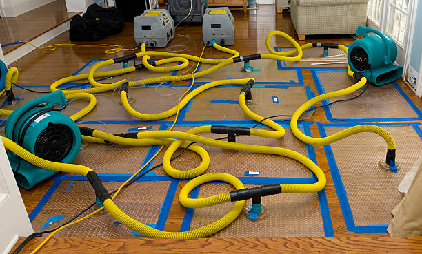 Professional Crawl Space Water Removal technician working in Bells, TN